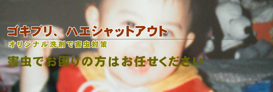 �S�L�u���E�n�G�΍�